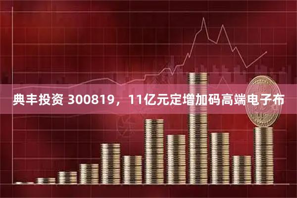 典丰投资 300819，11亿元定增加码高端电子布