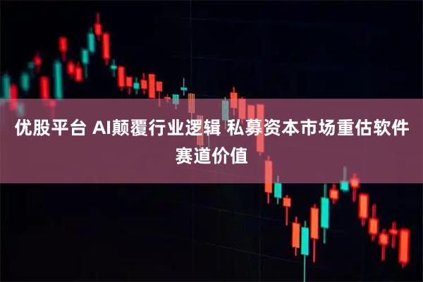 优股平台 AI颠覆行业逻辑 私募资本市场重估软件赛道价值