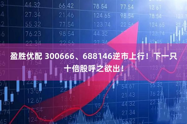 盈胜优配 300666、688146逆市上行！下一只十倍股呼之欲出！